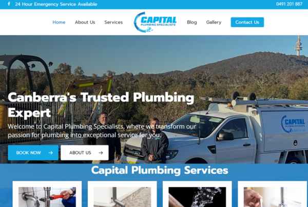 Rabia Shabbir Wordpress Website